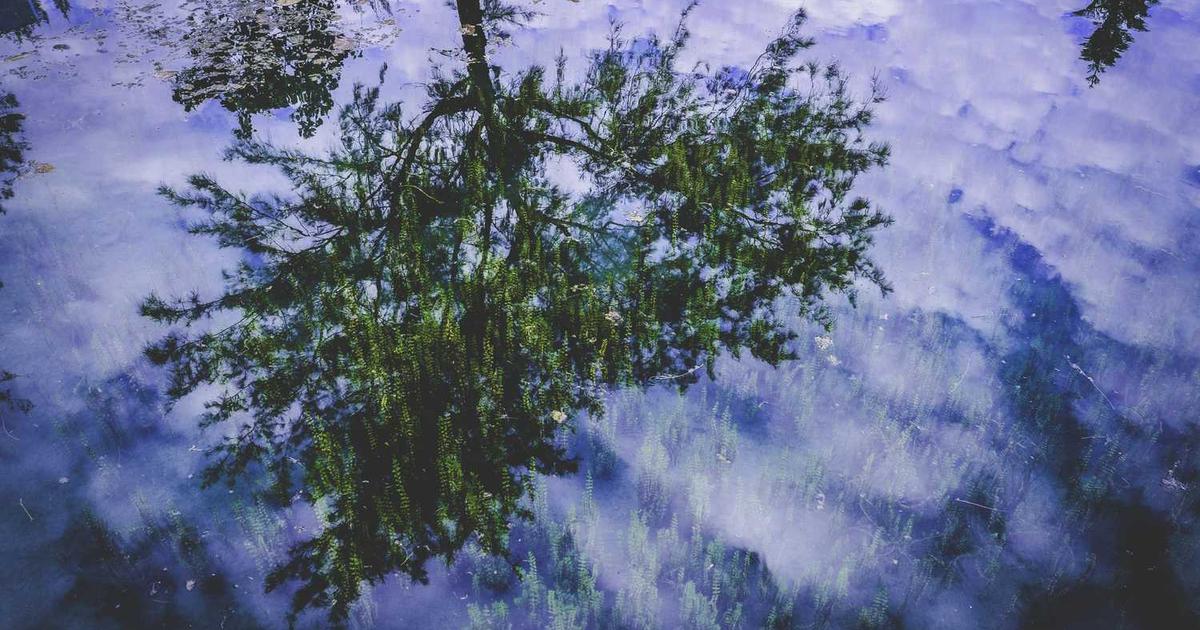 AI w muzyce 2025 rewolucja czy zagłada